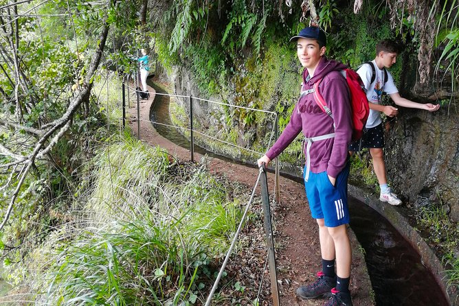 Hiking and Trekking tours in Madeira - Entering Madeira’s Levadas from Funchal without the map headache