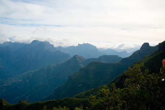 Hiking and Trekking tours in Madeira - Price and value: why $120.02 can be worth it here
