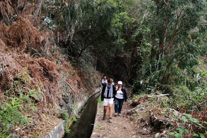 Hiking and Trekking tours in Madeira - Why the guide talk matters: spotting endemic flora and fauna in English