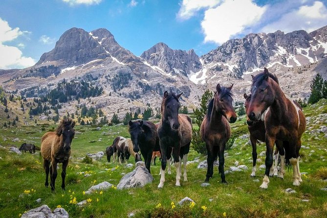 Hiking between Bosnia and Herzegovina - Key highlights at a glance