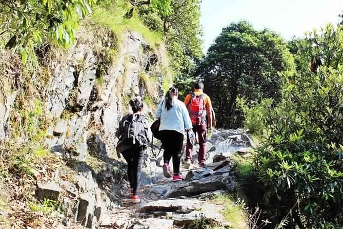 Hiking Day Tour to Triund from Dharamshala - Key Highlights Worth Your Focus