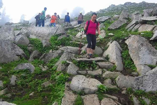 Hiking Day Tour to Triund from Dharamshala - Triund: Why This Day Hike Feels Like a Real Mountain Escape