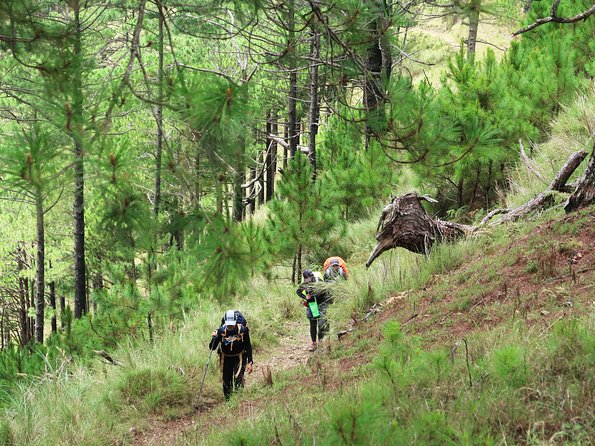 Hiking Day Tour to Triund from Dharamshala - Triund Alpine Meadow: Views, Lunch, and How Long to Stay