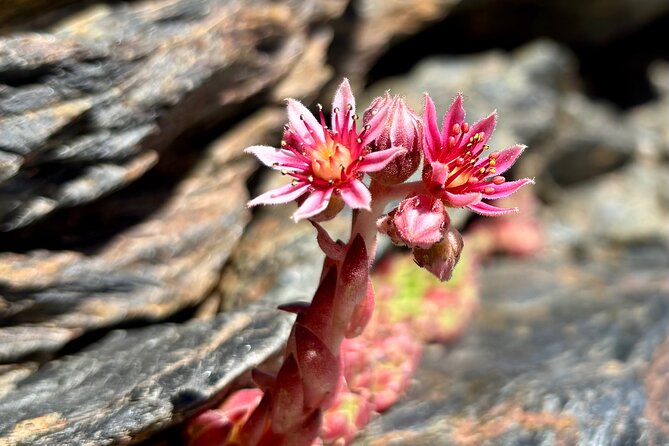 Hiking experience in the High Sierra Nevada National Park - The push to Tajos del Campanario and the North-Face panorama