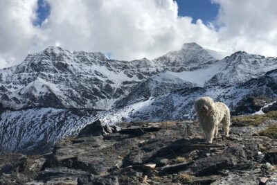Hiking experience in the High Sierra Nevada National Park - Posiciones del Veleta: a history stop with real high views