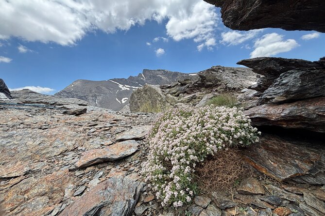 Hiking experience in the High Sierra Nevada National Park - Price value: what $71.35 covers (and what it doesn’t)