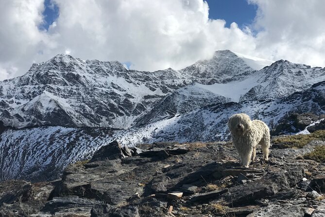 Hiking experience in the High Sierra Nevada National Park - Posiciones del Veleta: a history stop with real high views