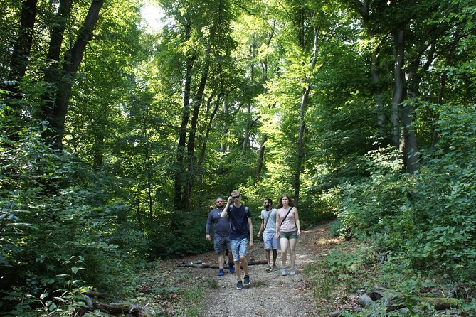Hiking in Budapest - What you learn in the forest: plants, mushrooms, and bird sounds