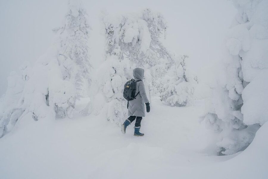 Hiking in Riisitunturi National Park with Photographer - Riisitunturi’s winter world: why this hike feels different