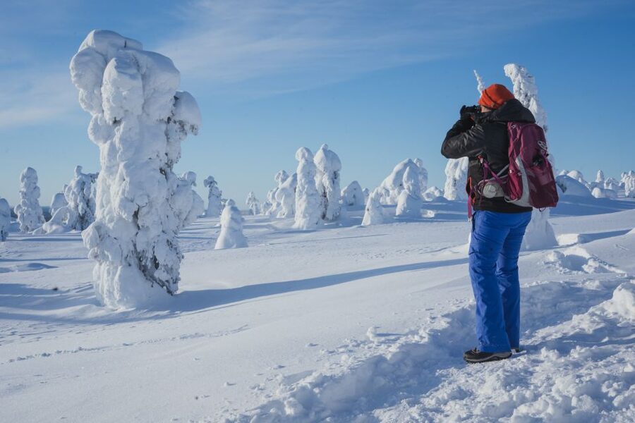 Hiking in Riisitunturi National Park with Photographer - Languages and guide style: what to expect from the human side