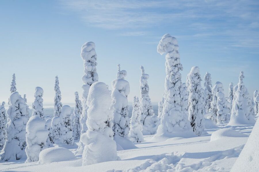 Hiking in Riisitunturi National Park with Photographer - The 5 km natural-park hike: short distance, great returns