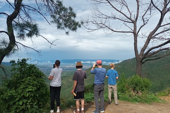 Hiking in Sierra Norte the most spectacular trails in Oaxaca - Daniel’s Hummingbird Listening and the Coffee Turnaround