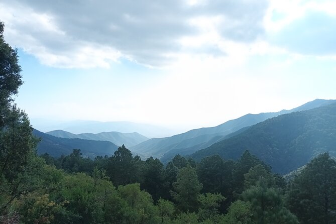 Hiking in Sierra Norte the most spectacular trails in Oaxaca - Lunch at Restaurante Colibrí: Hot Chocolate, Atole, and Local Plates