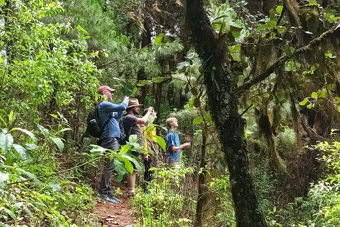 Hiking in Sierra Norte the most spectacular trails in Oaxaca - Price and Logistics: Short, Guided, and Worth It