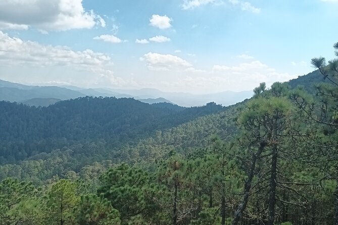 Hiking in Sierra Norte the most spectacular trails in Oaxaca - Should You Book This Sierra Norte Hike?
