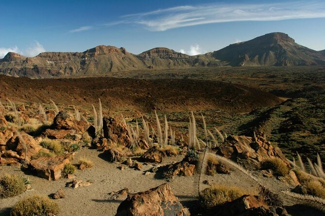 Hiking in Tenerife's Great Outdoors - Quick Highlights to Know Before You Go