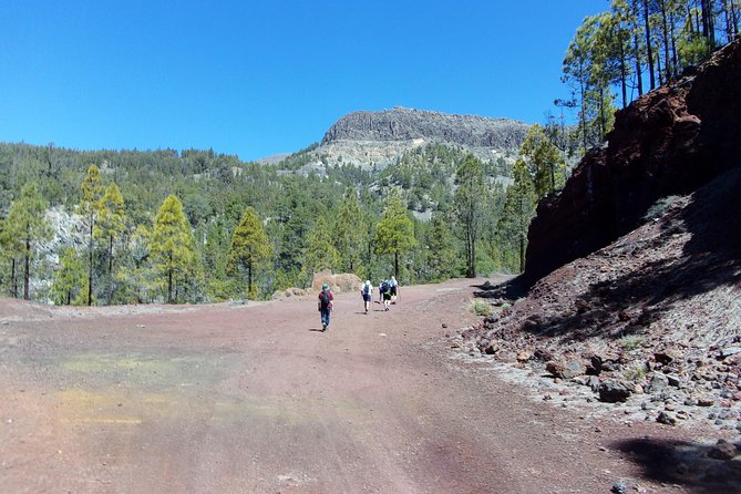 Hiking in Tenerife's Great Outdoors - Learning While You Walk: Geology, History, and Local Traditions