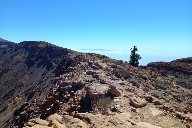 Hiking in Tenerife's Great Outdoors - Photo Stops That Don’t Feel Like a Detour