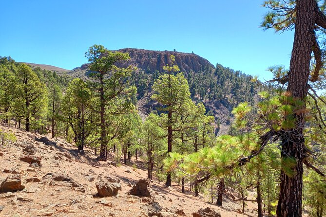 Hiking in Tenerife's Great Outdoors - What’s Included, What’s Not, and What to Plan For