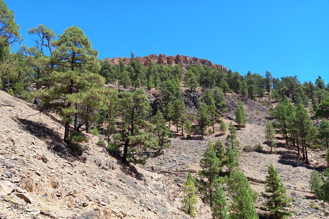 Hiking in Tenerife's Great Outdoors - Price and Value: Is $72.59 a Good Deal?