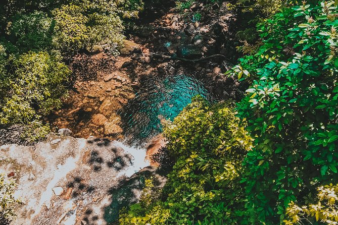 Hiking in the Black River Gorges National Parc - Native Forest - Logistics that help: meeting time, group size, and what to pack