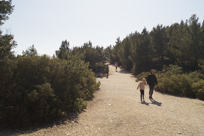 Hiking in the Calanques National park from Marseille - Sugiton and the descent: when the sea stop feels like the point