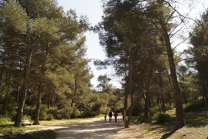 Hiking in the Calanques National park from Marseille - Picnic snacks that actually keep you going: what’s provided and what’s on you