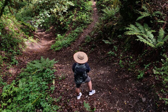 Hiking in the Sierra Norte of Oaxaca - Key highlights you’ll care about