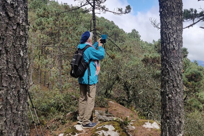 Hiking in the Sierra Norte of Oaxaca - How Hard Is It Really? Altitude, Hills, and the Group Pace