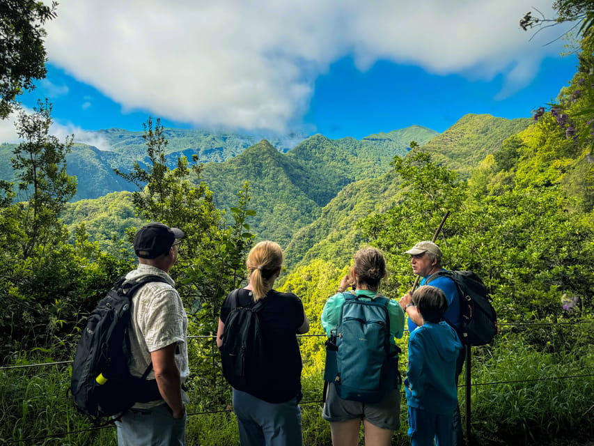 Hiking Madeira: Levada do Rei and the Majestic Laurissilva - Key highlights you’ll actually care about