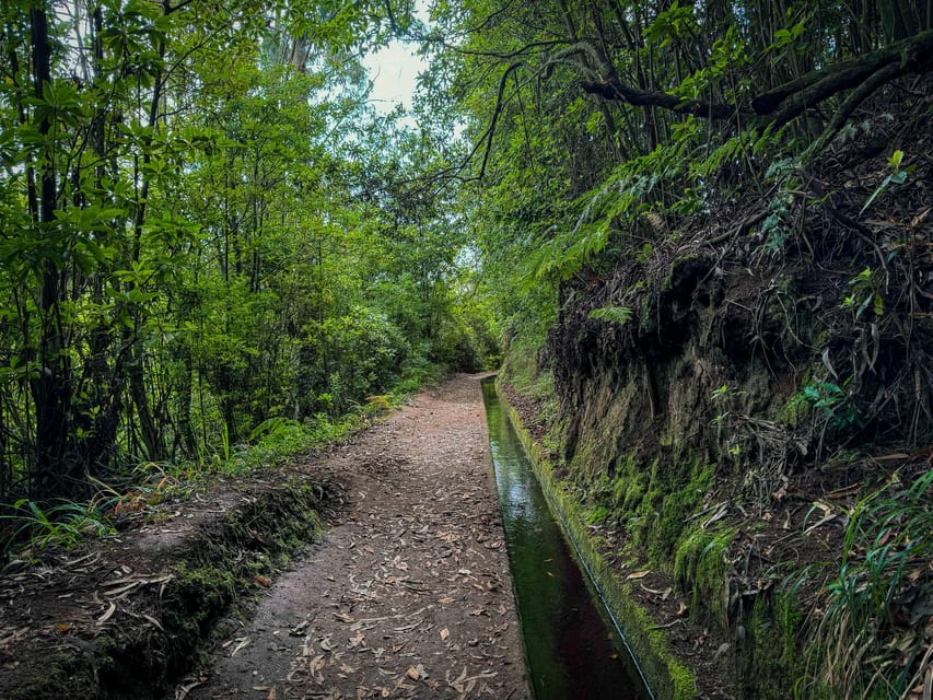 Hiking Madeira: Levada do Rei and the Majestic Laurissilva - Getting to São Jorge: pickup, short drives, and that first reality check