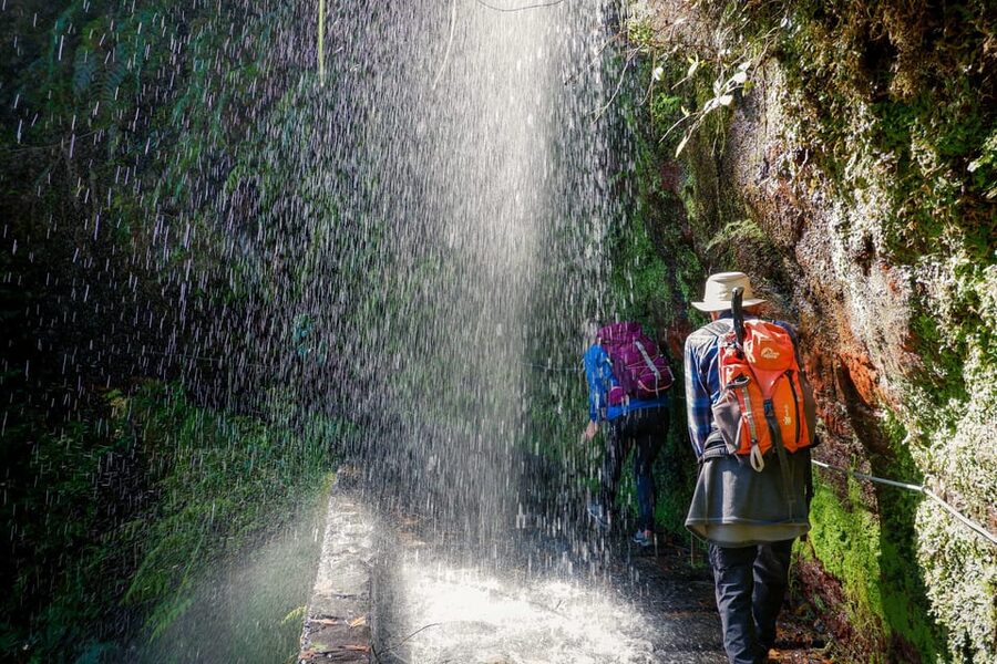 Hiking Madeira: Levada do Rei and the Majestic Laurissilva - From cultivated views to Laurissilva UNESCO: what changes in the air