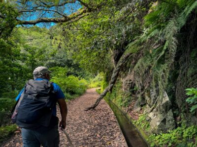 Hiking Madeira: Levada do Rei and the Majestic Laurissilva - Quebradas start point and the opening Levada do Rei walk