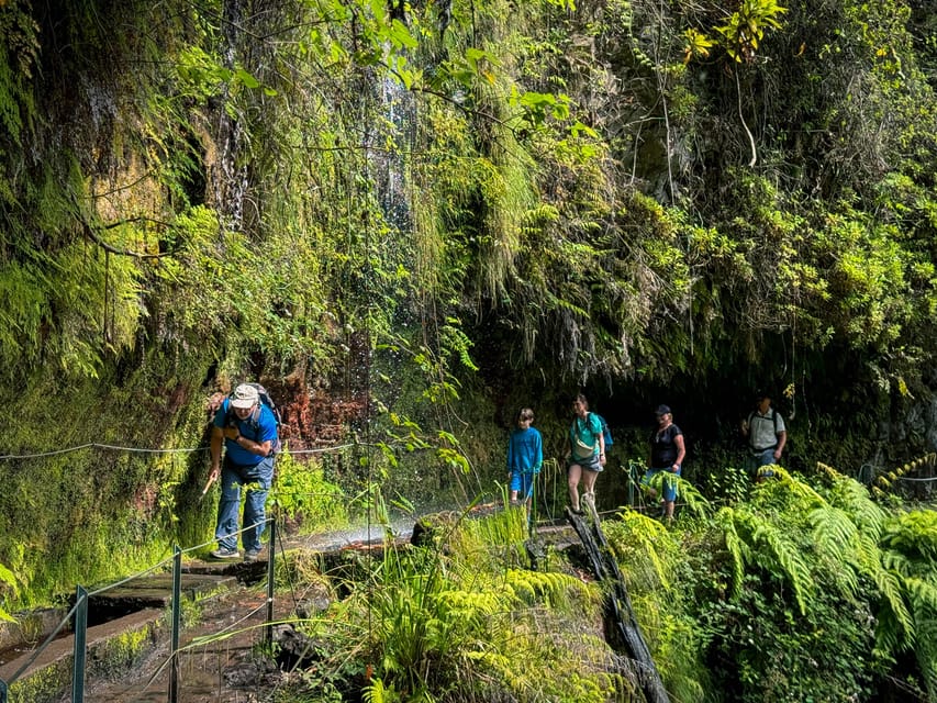 Hiking Madeira: Levada do Rei and the Majestic Laurissilva - Should you book Levada do Rei and the Laurissilva Forest?
