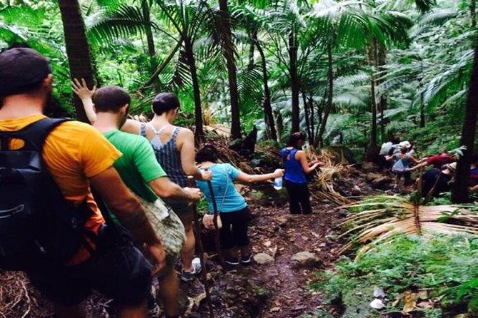 Hiking Mount Liamuiga Volcano in St Kitts - Key things to know before you go