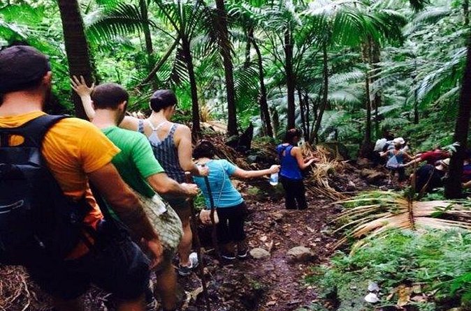 Hiking Mount Liamuiga Volcano in St Kitts - Gear and weather: how to stay upright on a muddy volcano trail