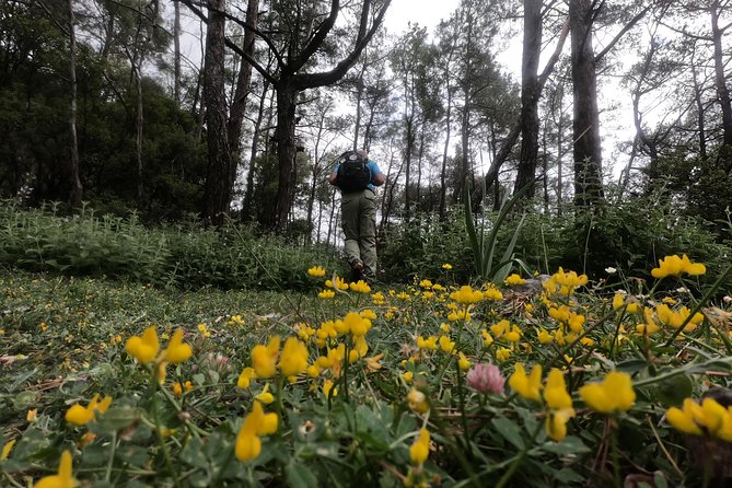 Hiking Mountain Akramitis Rhodes - pick up service available - Key highlights before you lace up