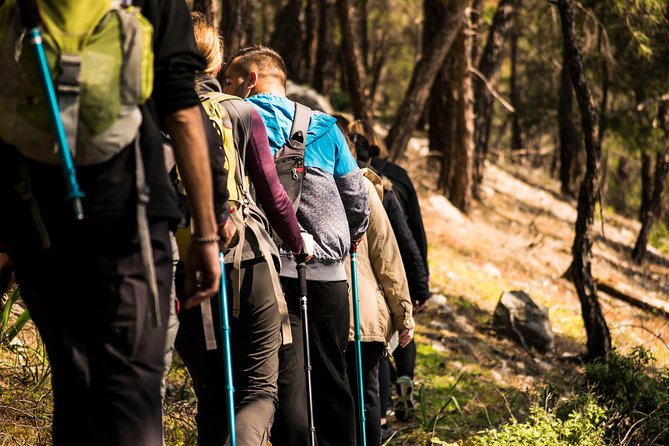 Hiking Mountain Akramitis Rhodes - pick up service available - Price and value: what $78 buys you on Akramitis