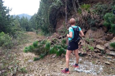 Hiking Mountains and Magical Forests - Waterfalls where you can actually cool off