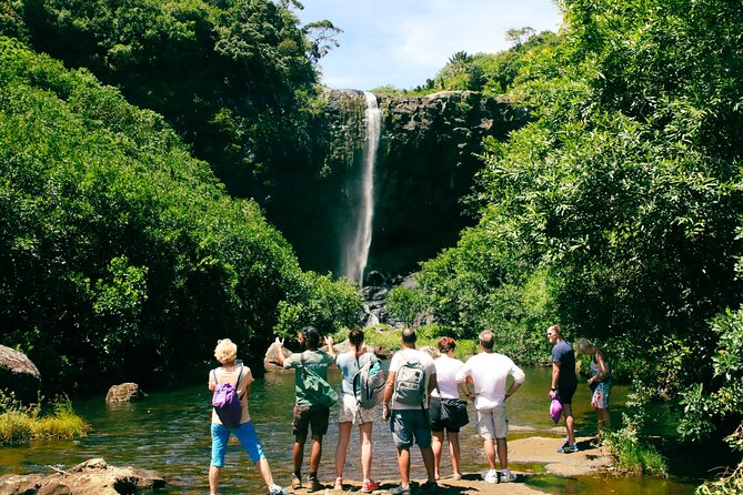Hiking Sept Cascades (Tamarind Falls) - Half Day - Slippery descents and steep moments: how to choose your comfort level