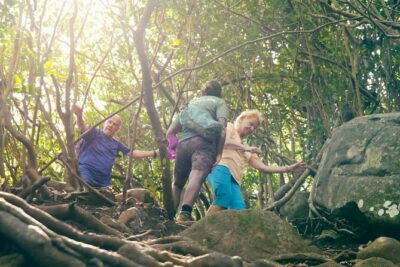 Hiking Sept Cascades (Tamarind Falls) - Half Day - Your walk at Les 7 Cascades: what to expect on the trail