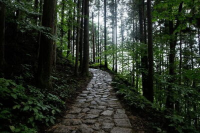 Hiking the Historic Nakasendo Trail [1 Day Tour from Nagoya] - Getting from Nagoya: Private-vehicle comfort, simple flow