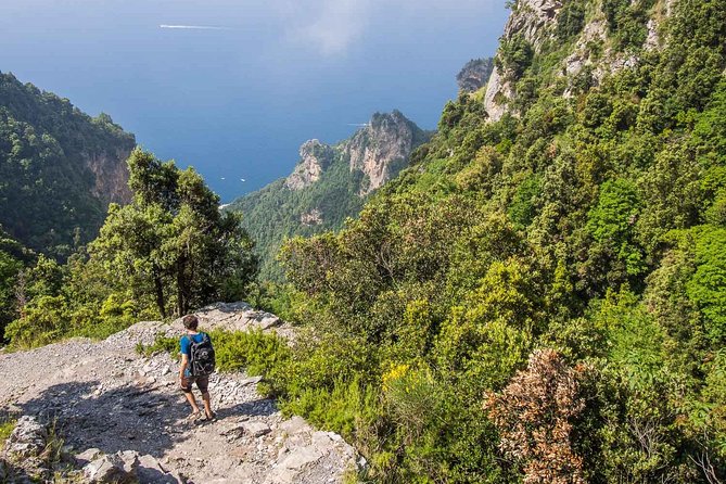 Hiking the Path of the Gods with Enzo: Amalfi Coast Adventure - Price and Value: Why $83.45 Can Still Make Sense