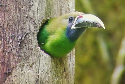 Hiking to Curi-Cancha Reserve - Where you meet: Reserva Curi Cancha, easy to find