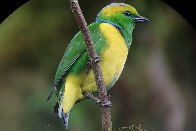 Hiking to Curi-Cancha Reserve - Who this hike suits best (and who might not love it)