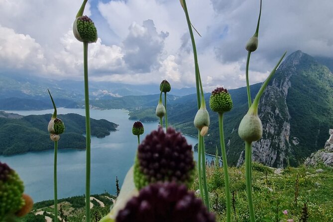 Hiking to Gamti, Bovilla Lake and Kruja Day Trip from Tirana - Should You Book This Day Trip?