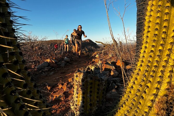 Hiking Todos Santos at Sunset - Cabo to Todos Santos: A Real Change of Pace in One Evening