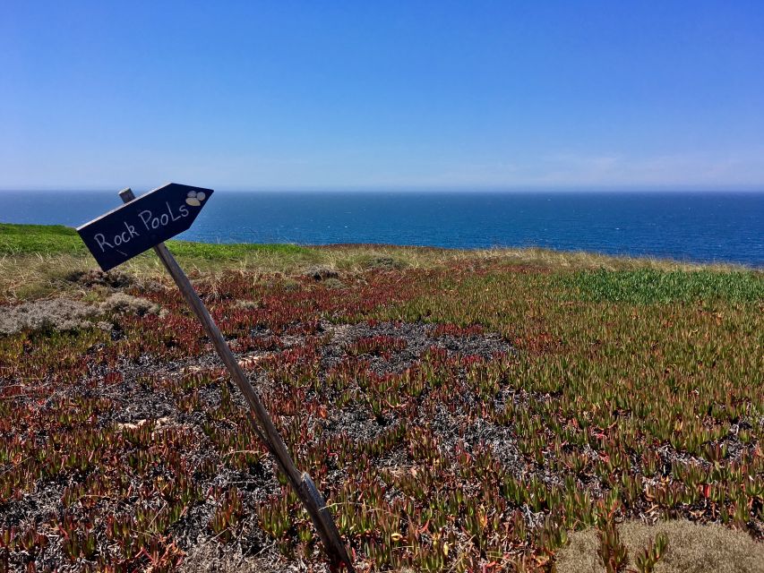 Hiking Tour Along the West Coastline - Key highlights you’ll feel the whole day