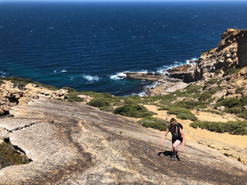 Hiking Tour Along the West Coastline - Difficulty and pacing: what 14 km means in real life