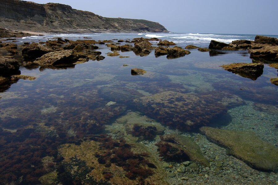 Hiking Tour Along the West Coastline - Secret stops and viewpoints: Arrábida’s coastal scrub, birds, and flowers